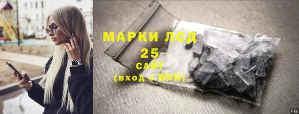 прущие грибы Волоколамск