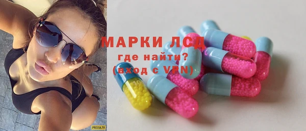 прущие грибы Волоколамск