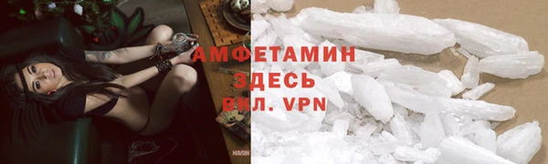 прущие грибы Волоколамск