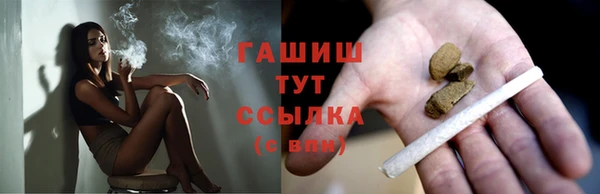 прущие грибы Волоколамск