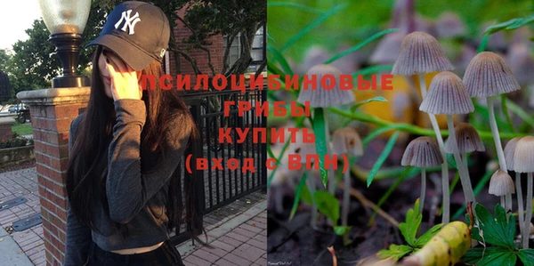 прущие грибы Волоколамск