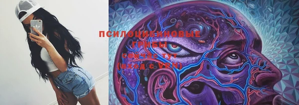 ешки Верея